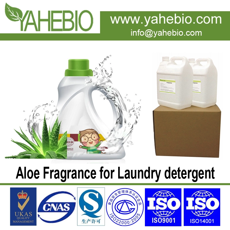 Aloe fragrância para detergente de lavanderia