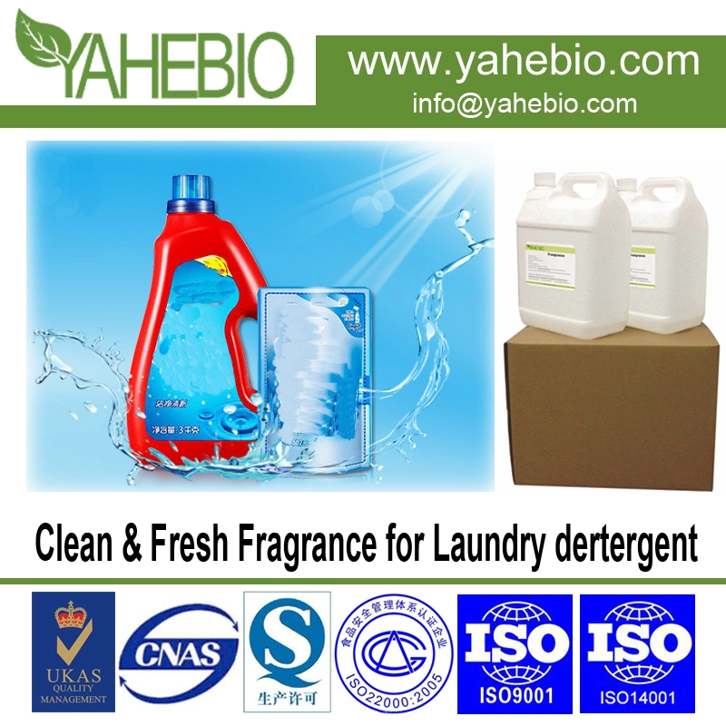 Limpo e fresco fragrância para detergente de lavanderia