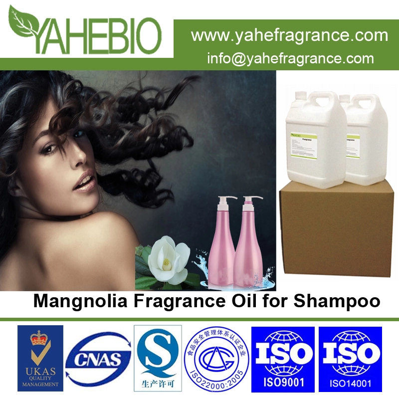 Óleo de fragrância de magnólia para shampoo