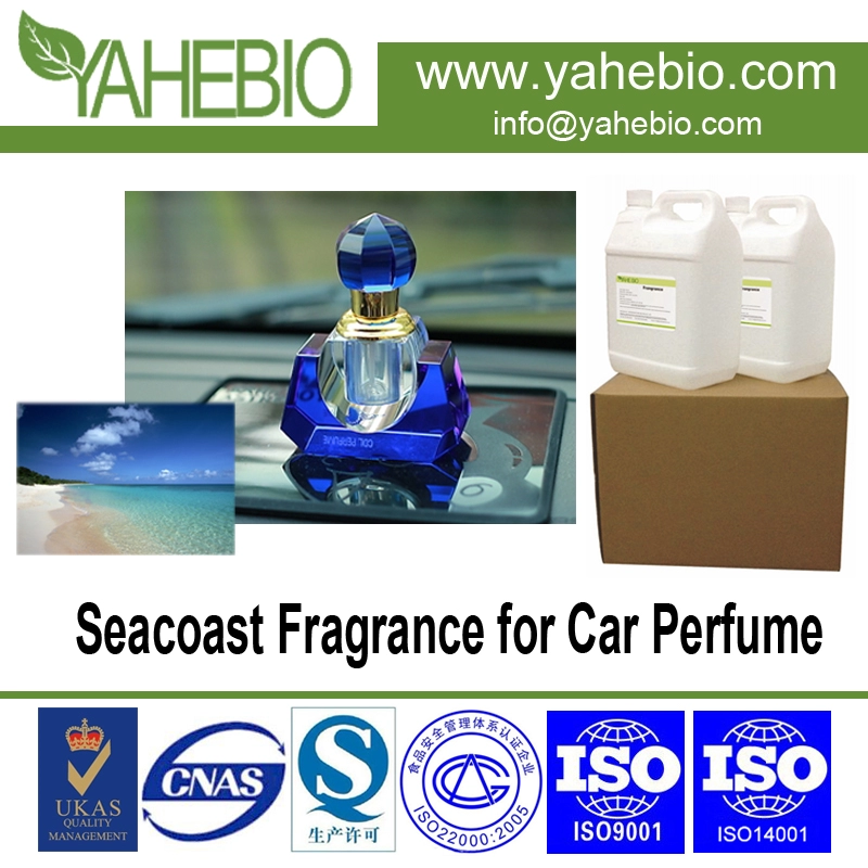 Fragrância do Seacoast para o Auto Perfume