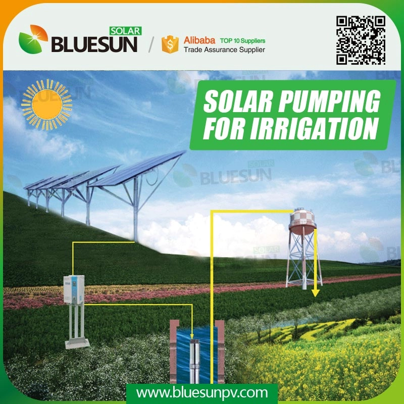 5HP Sistema de bombeamento solar para irrigação