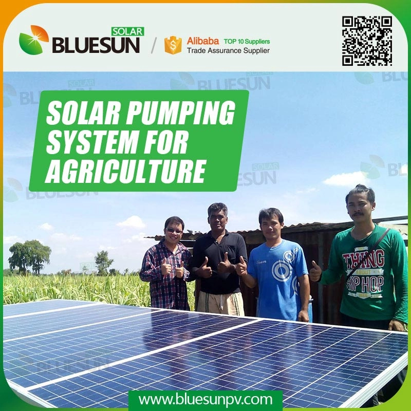 15HP Solar Agricultura Agricultura Sistema de Bomba de Água