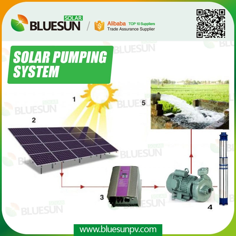 Sistema de bombeamento de água agrícola solar 75HP