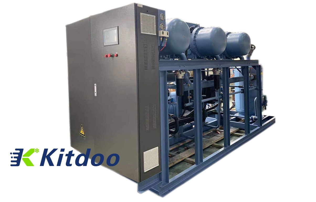 Unidade de condensação do compressor Bitzer