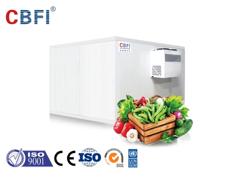 Câmara fria CBFI para frutas e legumes