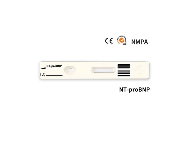 Teste quantitativo rápido NT-proBNP