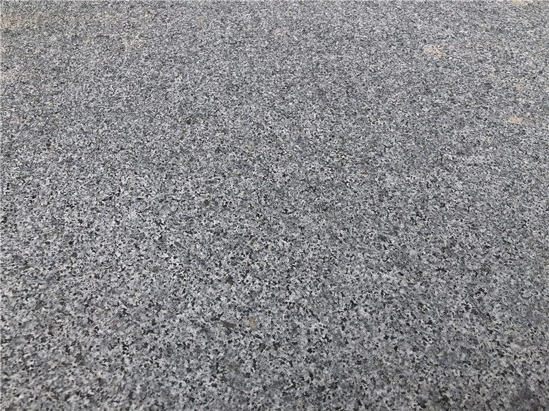 Granito chinês G654 Granito cinza escuro