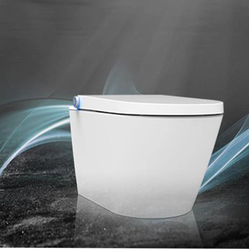 Inteligente DUSCH WC chuveiro bidé Assento de sanita branco bidé assento de sanita em Design sem aro