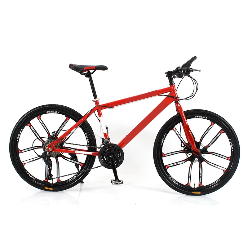 Bicicleta de montanha para adultos com estrutura de aço de alto carbono