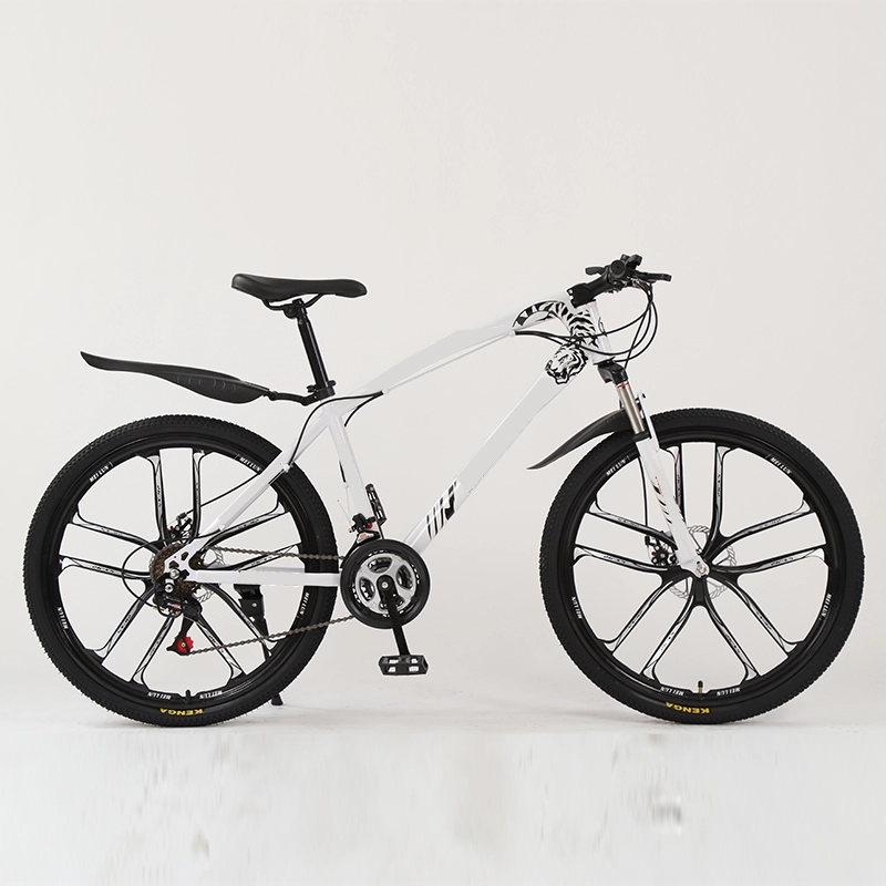 Bicicleta de montanha de 21 velocidades 24 de 26 polegadas com suspensão total
