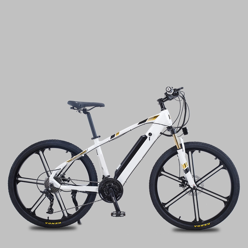 36V 48V 250W pedal assist e power bateria ciclo homem 350W bicicleta elétrica 750W adultos ebike melhor mountain bike elétrica à venda