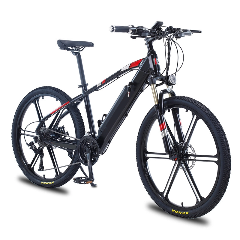 36V 48V 250W pedal assist e power bateria ciclo homem 350W bicicleta elétrica 750W adultos ebike melhor mountain bike elétrica à venda