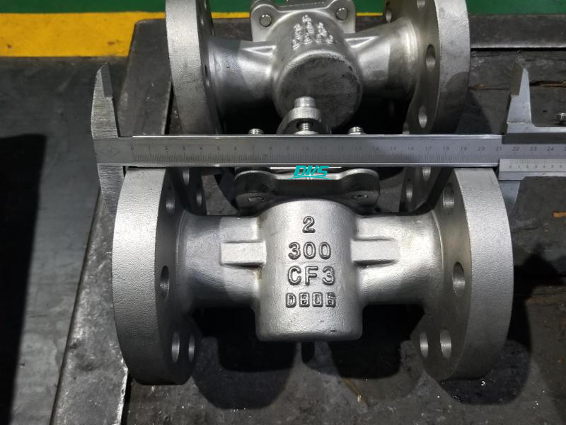 Reduced Bore Plug Valve