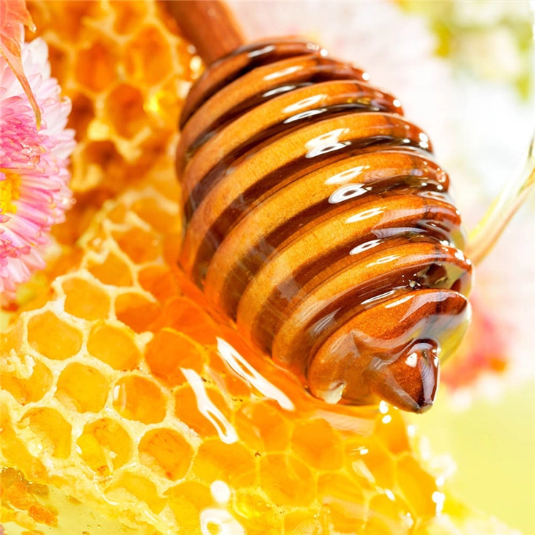 Mel de colza de abelha OEM 100% puro natural