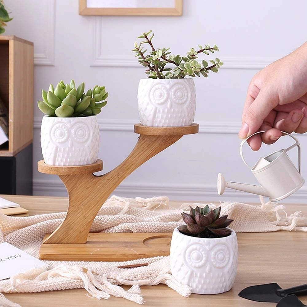 Vasos de Cerâmica Coruja Gardon Pequeno para Plantas Suculentas com Drenagem e Suporte de Bambu