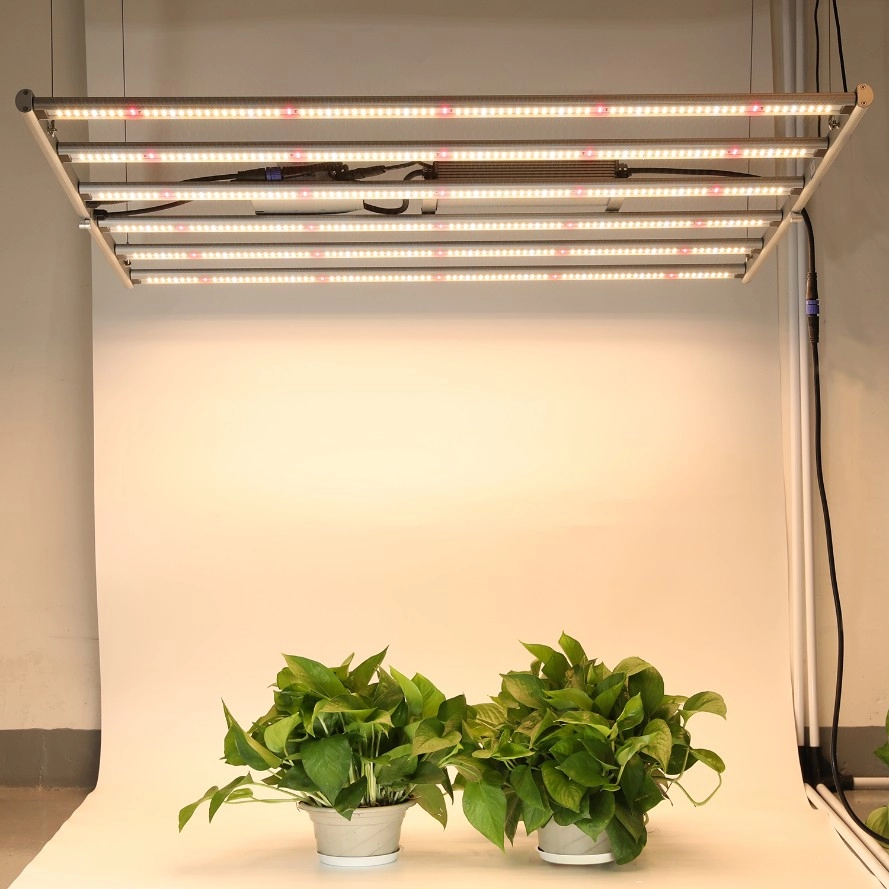 600W dobrável Veg Flower LED Grow Lights com driver externo