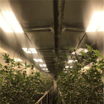 Luz IP65 interna à prova d'água de alta eficiência para crescimento de plantas