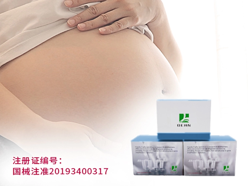 Kit de Genotipagem MTHFR Humana (Bom Nascimento e Reprodução)