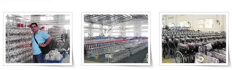 Fujian Xiamen TIARE Importação e Exportação Co., Ltd.