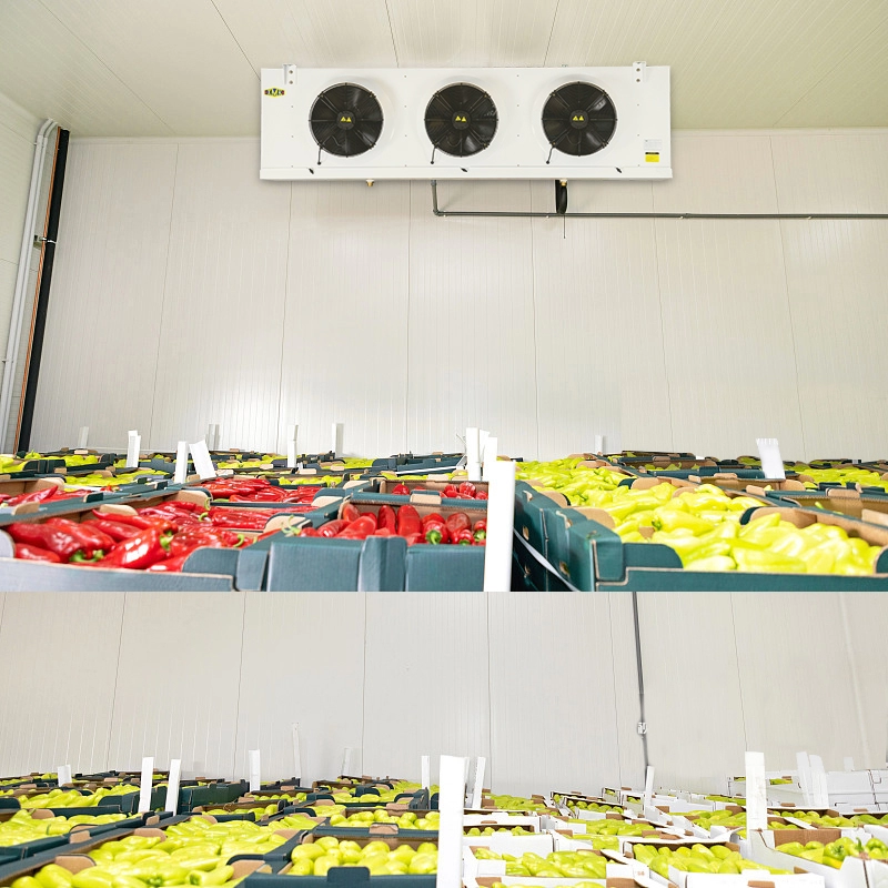 Refrigerador 9.18KW da unidade do evaporador do armazenamento refrigerado dos frutos dos vegetais