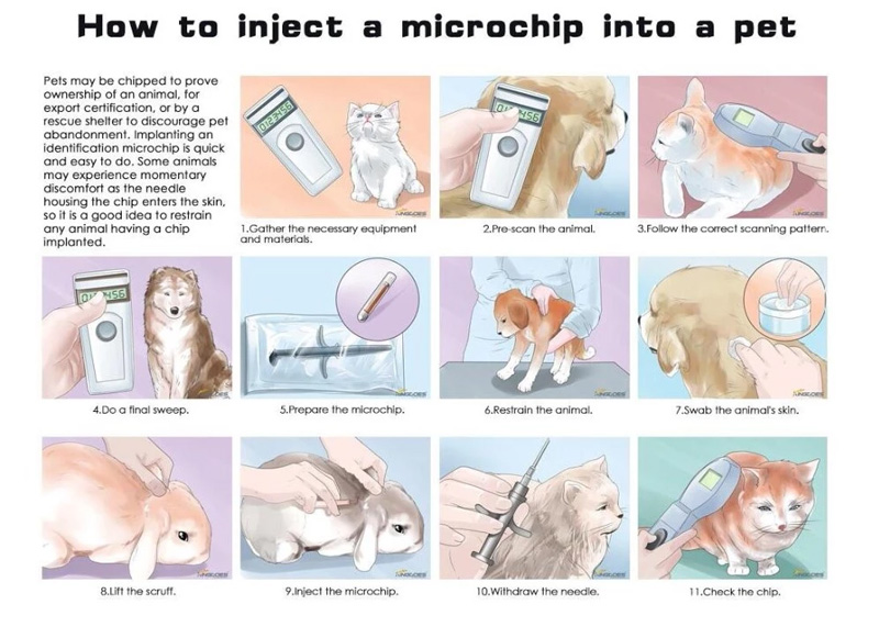 Injete etiquetas de microchip RFID em animais de estimação