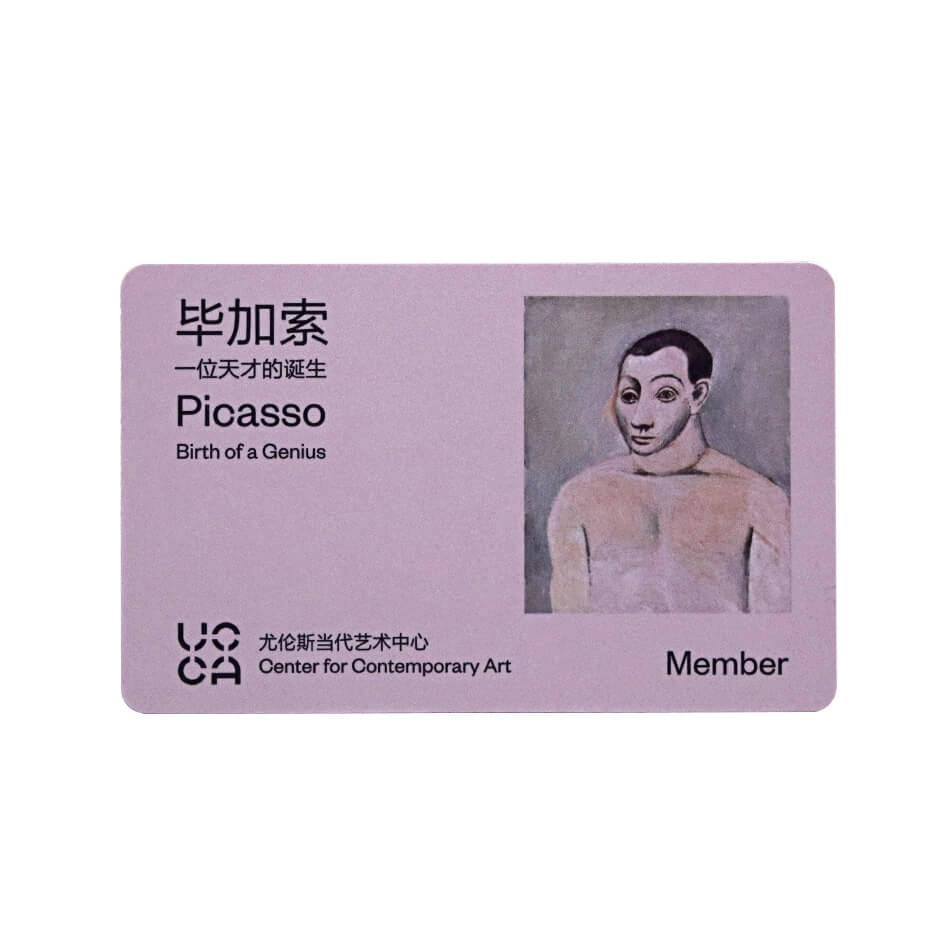Cartões de bilheteira de visita de associação RFID de plástico para museu