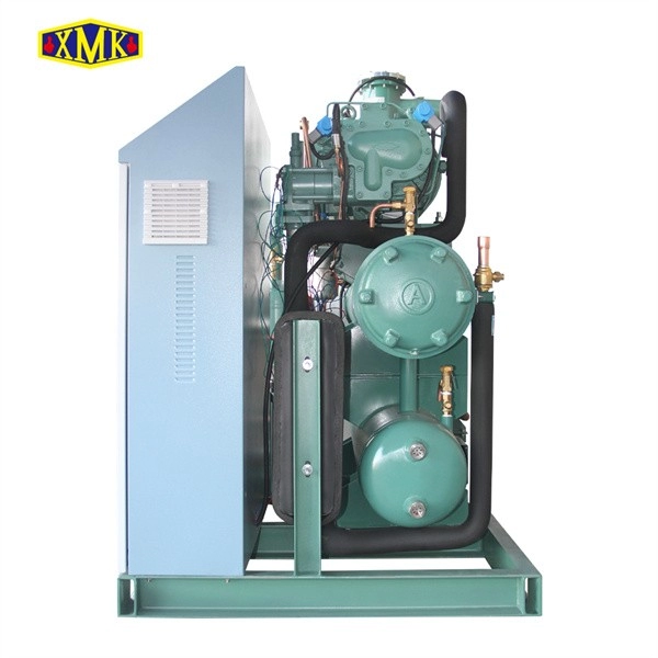 Unidade de condensação de refrigeração Bitzer do compressor de parafuso