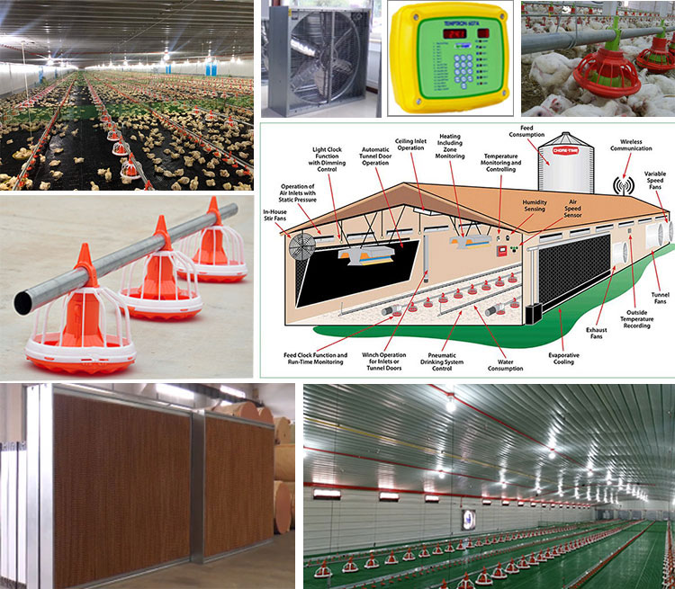 Fazenda de frangos com estrutura de aço pré-fabricada